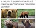 Jennifer Lawrence Bear.jpg