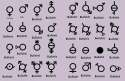 Gender Chart.jpg