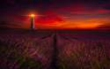 sunset_lavender_field_lighthouse_5k-wide.jpg
