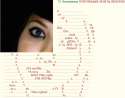boxxy4chan.png
