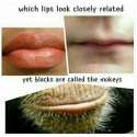 white people lips.jpg