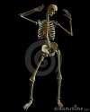 standing-skeleton-spooky-green-lighting-11501973.jpg