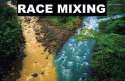 race mixing.jpg