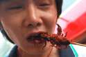 eating_insects_6.jpg