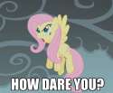 how-dare-you-fluttershy.jpg