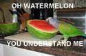 oh watermelon you understand me.jpg