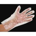 polythene-hand-glove-250x250[1].jpg