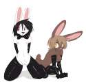 bunnies2 3.jpg
