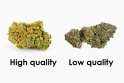 High-Quality-Weed.jpg