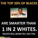 Blacks arent dumb.png