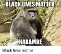 black-lives-matter-harambe-black-lives-matter-2614103.png