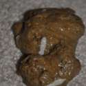 worms-in-dog-poop-pictures-150x150.jpg