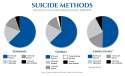 suicide-methods.jpg