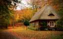 Autumn-and-house.jpg