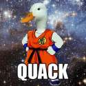 behold-the-majestic-space-duck_fb_1395227.jpg