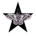 bw tattoo with star.jpg