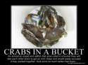 crabs-in-a-bucket-syndrome.jpg