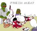 1906281 - Feels_Guy Jessica_Albert Pepe Smug_Frog Wojak meme.jpg