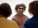 neanderthal-f7e537eece0e608bf580c379560e55aa82e70e03-s900-c85.jpg