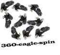 360-eagle-spin.jpg