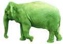 Green-Elephant.jpg
