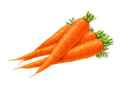 a carrot.jpg