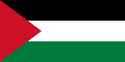 Flag_of_Palestine.svg.png