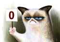 48490-Grumpy-Cat-Superbowl-Memes-201-ZuJO.jpg