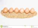 sechs-eier-mit-hlsen-44240209.jpg