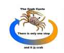 Crab Cycle.jpg