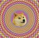 oh doge!.png