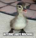 internet-hate-machine-duck.jpg