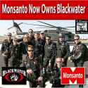 Monsanto-owns-blackwater.jpg