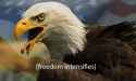 USA-Freedom-Eagle-Drooling.jpg