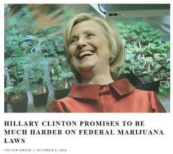 Hillary+lost+https+regatedcom+2016+10+marijuana+hillary+clinton+harder_eb2714_6050273mobile.jpg