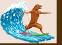 Surfing dog.gif