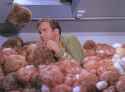 trouble-with-tribbles-kirk.jpg