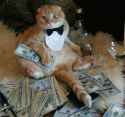 cash-cat1.jpg