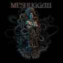 Meshuggah_-_The_Violent_Sleep_of_Reason.jpg