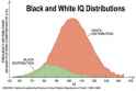 Black and White IQ Distribution.jpg