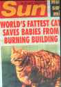 World+s+fattest+cat+saves+babies+from+burning+building+but+at+_ce61a75cac5b698ece8c1dd41f23708c.jpg