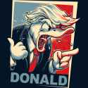 Donald lame Duck.jpg