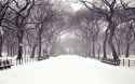 winter-city-snow-landscape-free-desktop-wallpaper-1920x1200.jpg