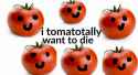 Tomatotally want to die.jpg