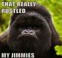 gorilla-that-really-rustled-my-jimmies-meme.jpg