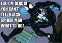 black-spider-man_o_1905003-1.jpg