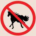 NO HORSE EDITION.png