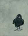 Raven+Chick(Optimized).jpg
