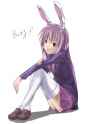 1girl animal_ears bad_id bunny_ears female long_hair panties pantyshot purple_hair shiba_(pixiv) shibasaki_shouji skirt solo thighhighs touhou underwear upskirt-302a6afe87f67b0780eae956b0f8cfc7.jpg