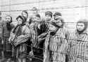 Child_survivors_of_Auschwitz.jpeg.jpg